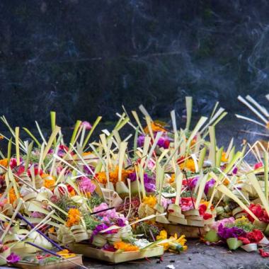 Supplier Dupa Murah Di Bali – Open Reseller